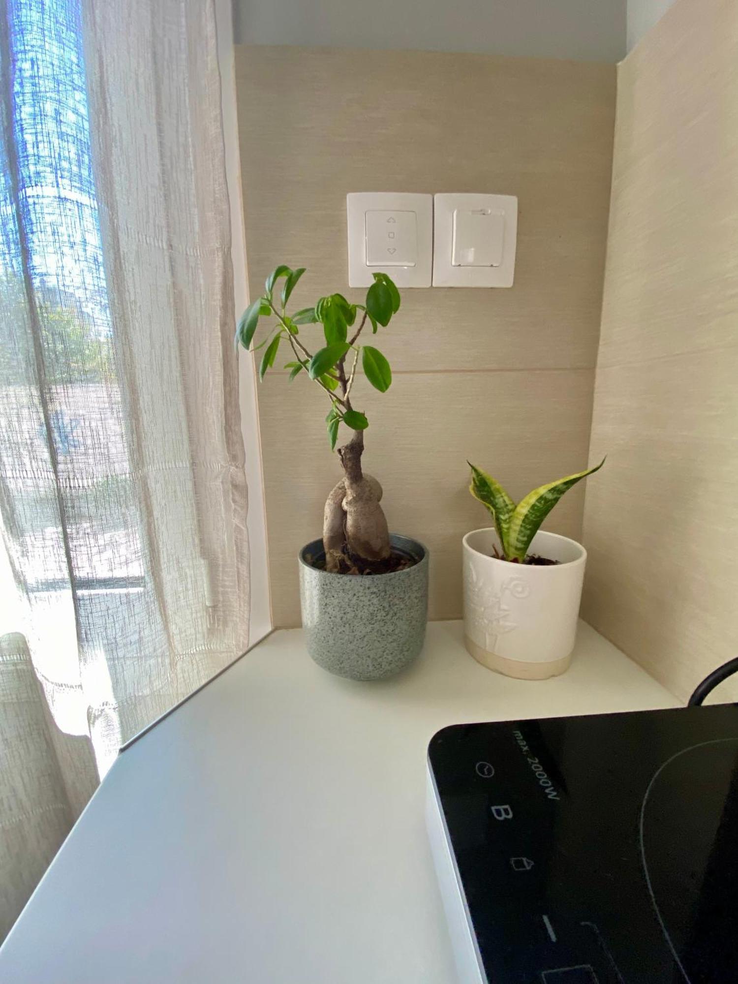 Xrysa'S Central City Apartment Mesolóngion المظهر الخارجي الصورة